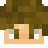 Pelaajan avatar