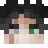 Pelaajan avatar